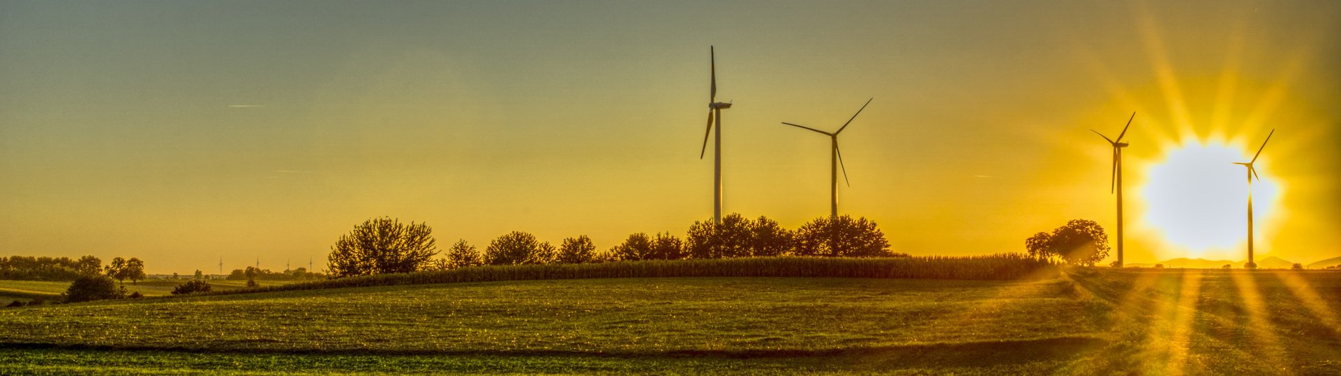 Windräder auf einem Feld bei Sonnenuntergang mit tiefstehender Sonne am Horizont