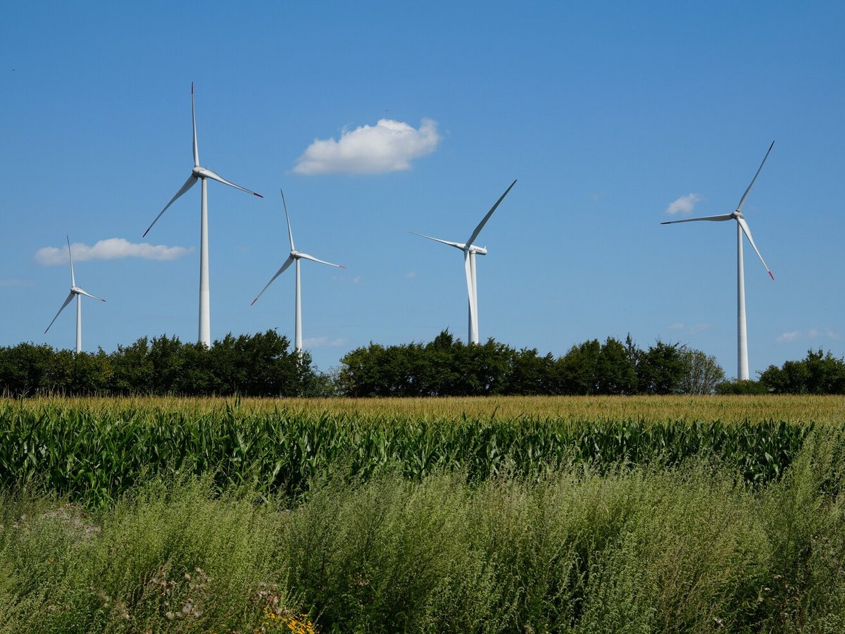 Windkraftanlagen des Windparks Woltersdorf